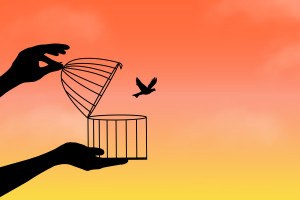 A drawing of a small bird being freed from a cage -- against a brigth orange and yellow background.