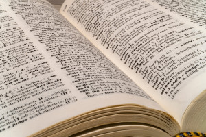 A close-up photograh of a dictionary lying open.